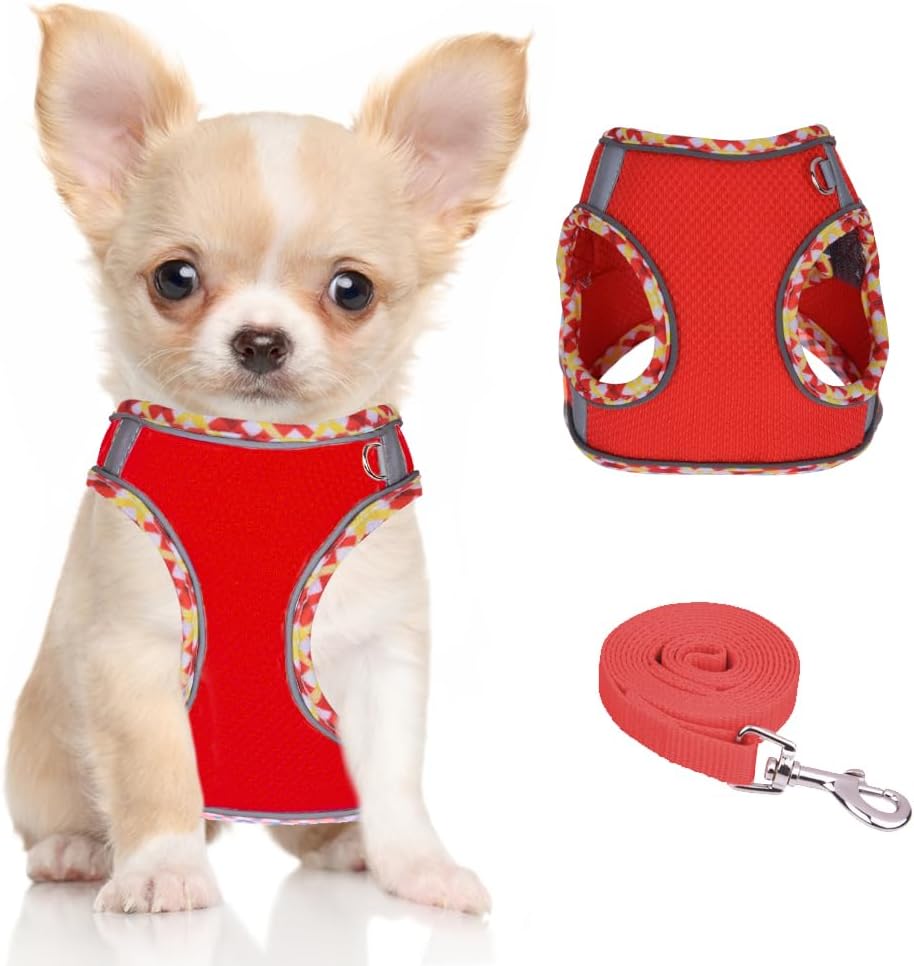 Dog Harness for Small Medium Dogs No Pull Adjustable Step in Puppy Harness and Leash Set,Reflective Breathable Mesh Pet Harnesses Soft Padded Vest for Dogs Easy to Put on…