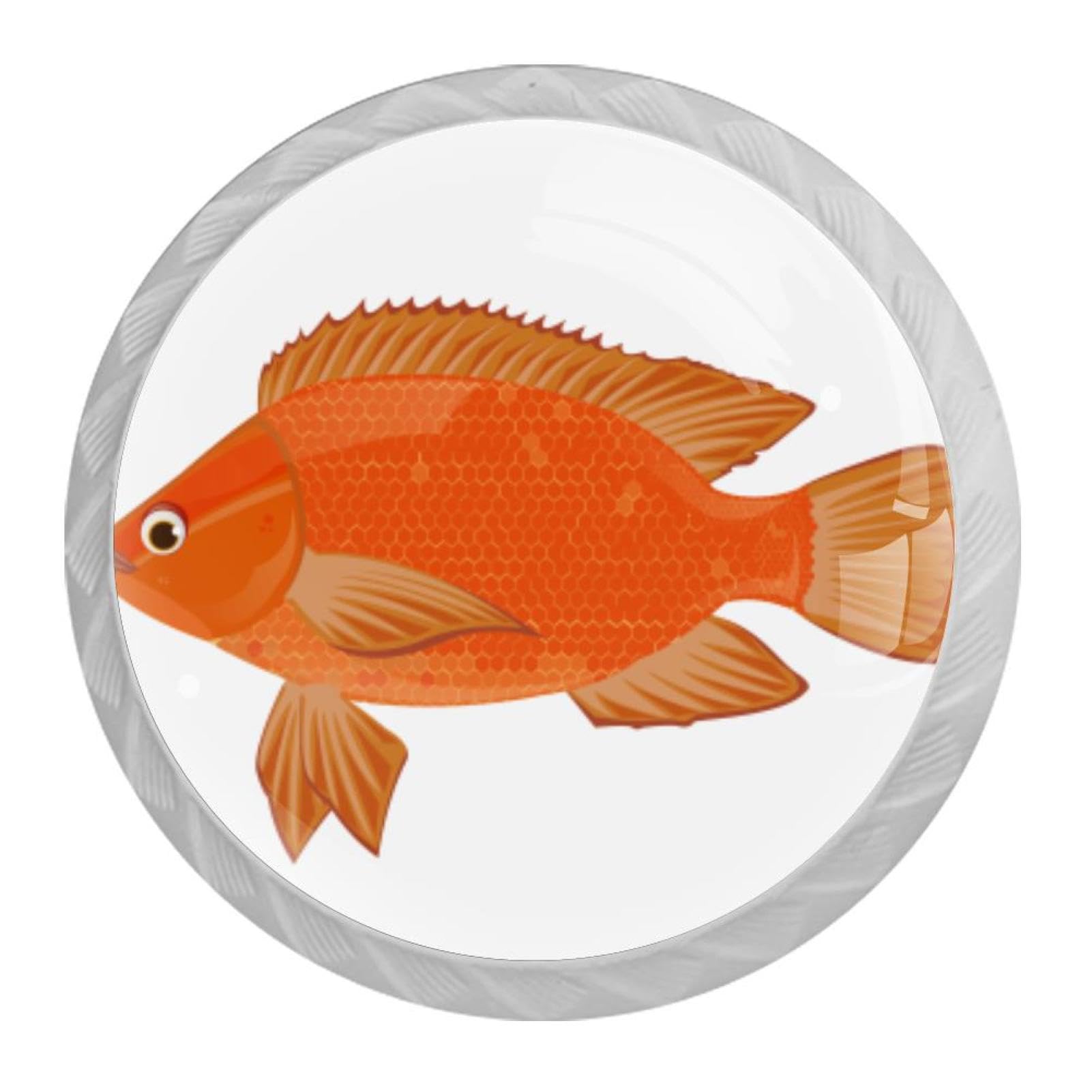 Tqmspg Multi Fish