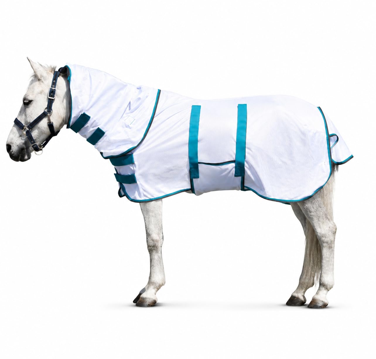 Leberna Shetty - Manta antimoscas con cuello y braga para el vientre, transpirable, con protección para el pecho, para pony, manta para eccemas para potros