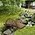 Outsunny 3.3ft Wooden Garden Bridge Arc Footbridge with Half-Wheel Style Railings & Solid Fir Construction, Stained Wood