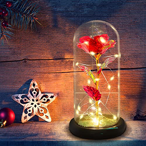 La beauté et la bête rose dans un dôme en verre avec lumière LED, cadeau éternel pour femme, petite amie, Saint-Valentin, anniversaires, mariages, propositions, Noël Cover