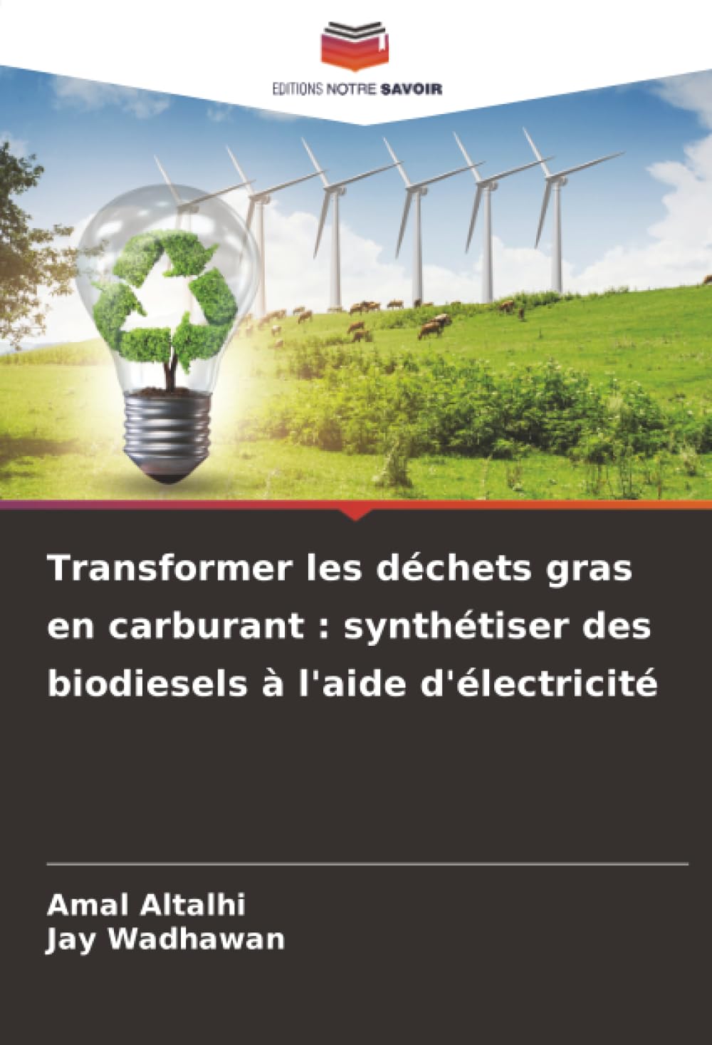 Transformer les déchets gras en carburant : synthétiser des biodiesels à l'aide d'électricité