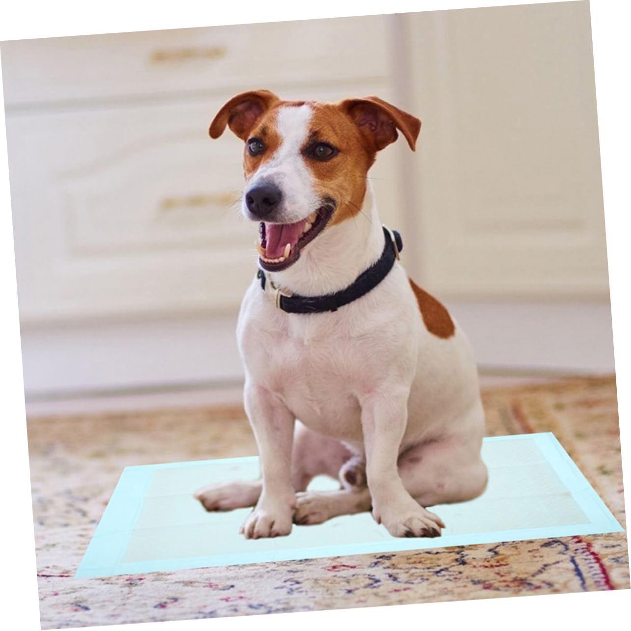 SUPVOX Puppy Pad Confezione da 100 Tappetini Assorbenti per per Cani Extra Large Super Assorbenti E Monouso per L'addestramento E L'uso Quotidiano