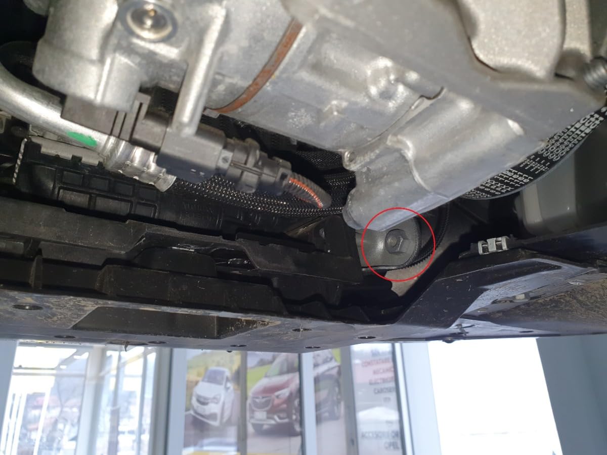 Protezione motore in metallo compatibile con Peugeot 208.