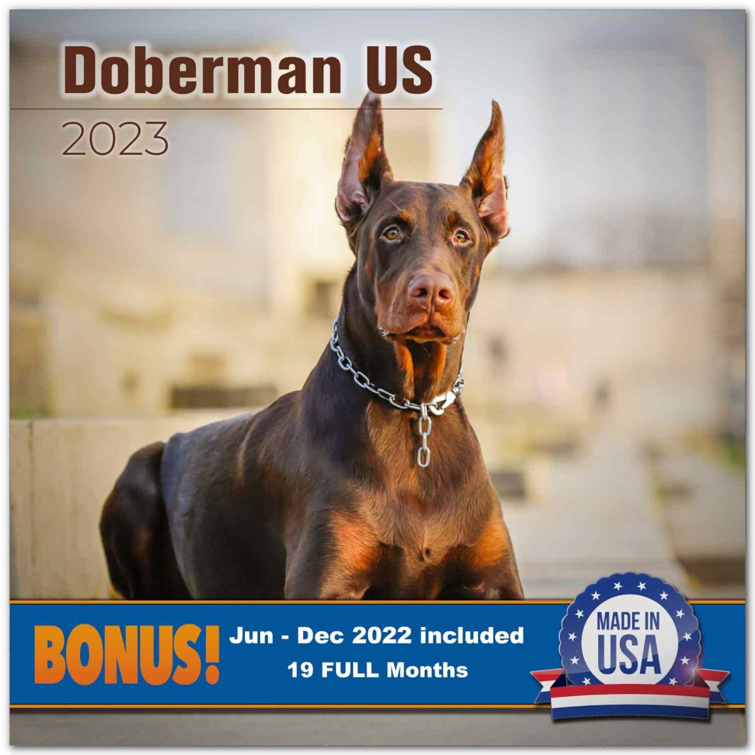 Doberman - MegaDogs - B0725D1K6M