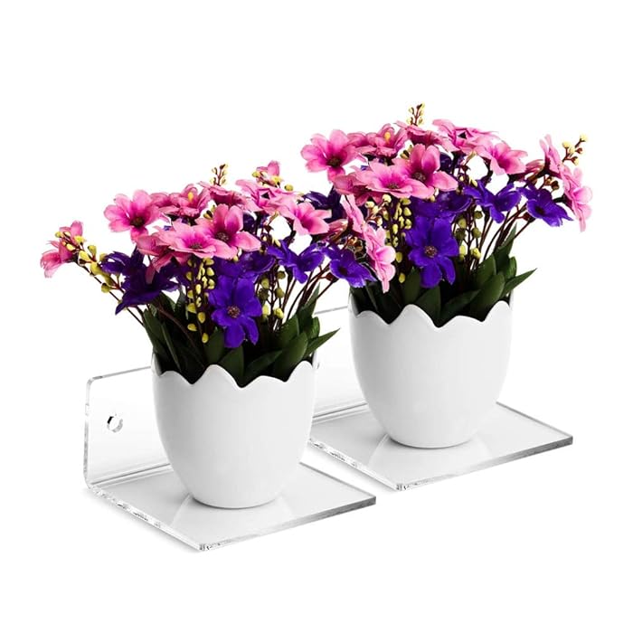 Buy LEILIN Better Display Cases Acrylic Shelves Clear Acrylic Floating Shelf Set of 3 Wall Mount