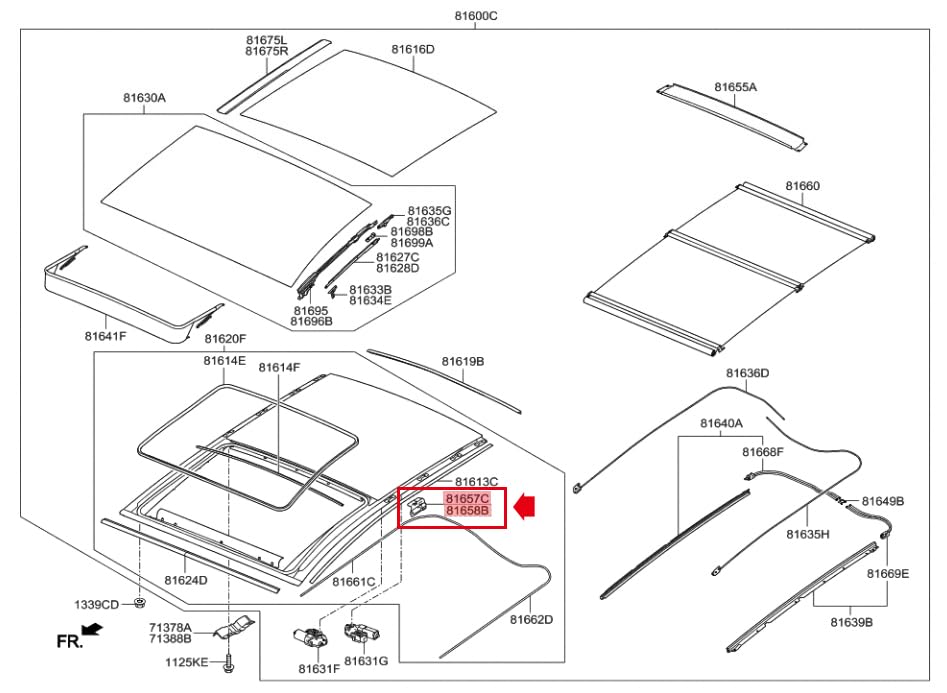 Generic Genuine OEM 81657A5000 81658A5000 Rear Roller Blind Shoe LH RH 2pcs 81657-A5000 81658-A5000 for Hyundai Elantra GT New i30 2013-2017, Black