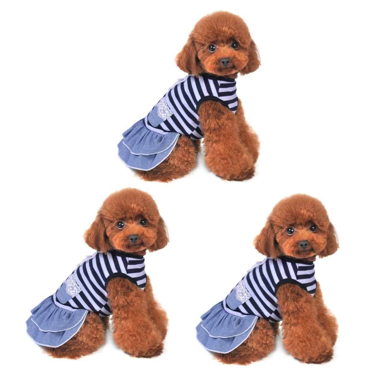 Robe pour chienne gilet en dentelle Angoily pour sorties et activités de plein air