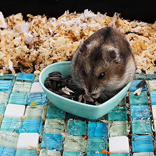 Dqitj 3 Pack Hamster Food Dish Small Cute Shape Food Bowl For Hamster Hedgehog Small Animals thumb #2