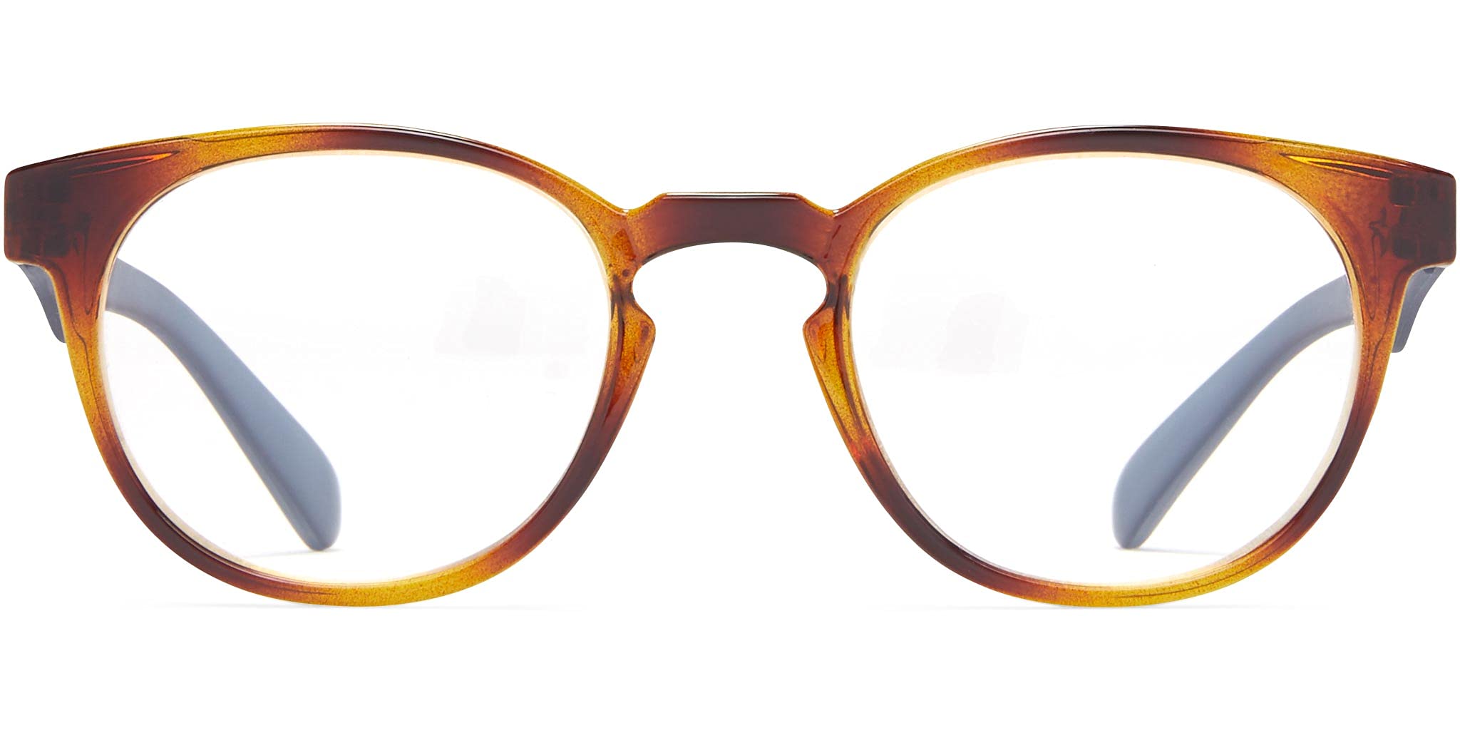 I.C.U. ICU Eyewear Reading Glasses - Bienne - Tortoise & Blue - +2.50
