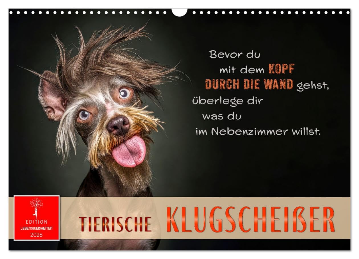 Animal smart alecks UK-Version (Wall Calendar 2026 DIN A3 Landscape), CALVENDO 12 Month Wall Calendar — image 1