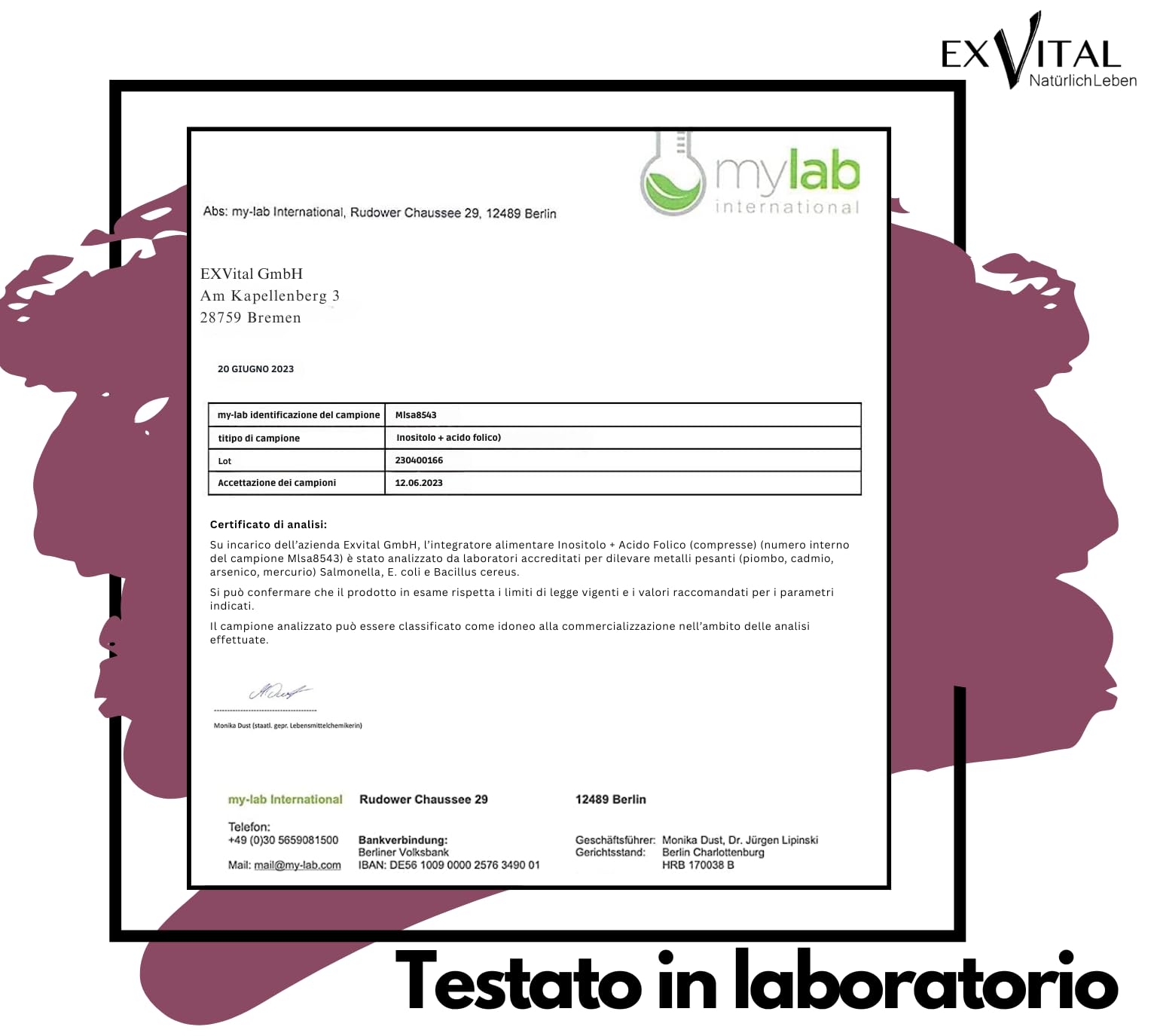 Inositolo, combinato in modo ideale con acido folico, 180 compresse, puro mio-inositolo, ad alto dosaggio: 2000 mg e 400 μg di acido folico al giorno, vegano e senza additivi!