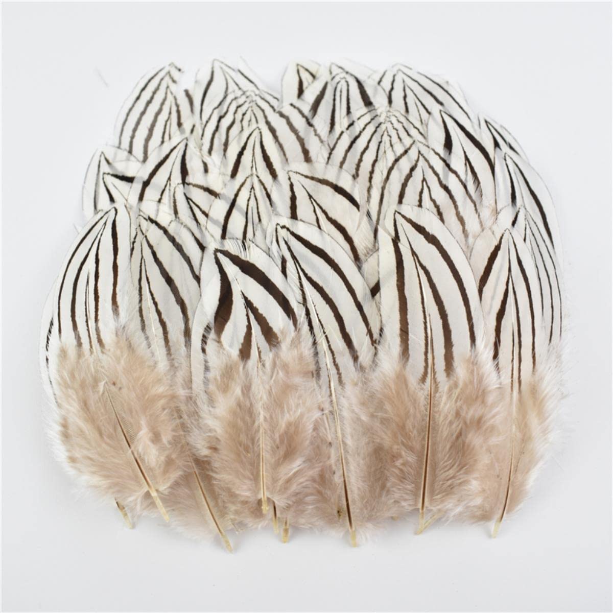 Natürliche Pfauenfasanenfedern, kleine Gänse- und Hühnerfedern, Federn, DIY-Handwerk, Party, Hochzeit, Zubehör, Schmuck, dekorativ, Größe 10–15 cm, 500 Stück