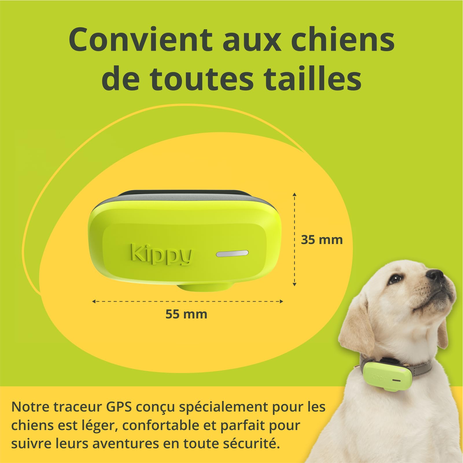 Kippy Dog | GPS pour Chiens - Traceur GPS étanche pour Chiens avec Fixation pour Collier - Suivi d'activité et de santé pour Votre Chien, avec GEOFENCE et Notifications - Couleur Verte