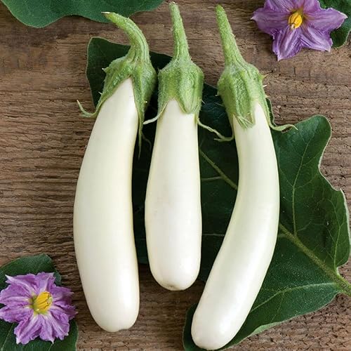 Miniatura 5 de Seeds White Eggplant Vegetable Aubergine Heirloom for Planting Non GMO