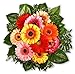 Produktbild Blumenstrauß Blumenversand "Alles Gerbera" +Gratis Grußkarte+Wunschtermin+Frischhaltemittel+Geschenkverpackung
