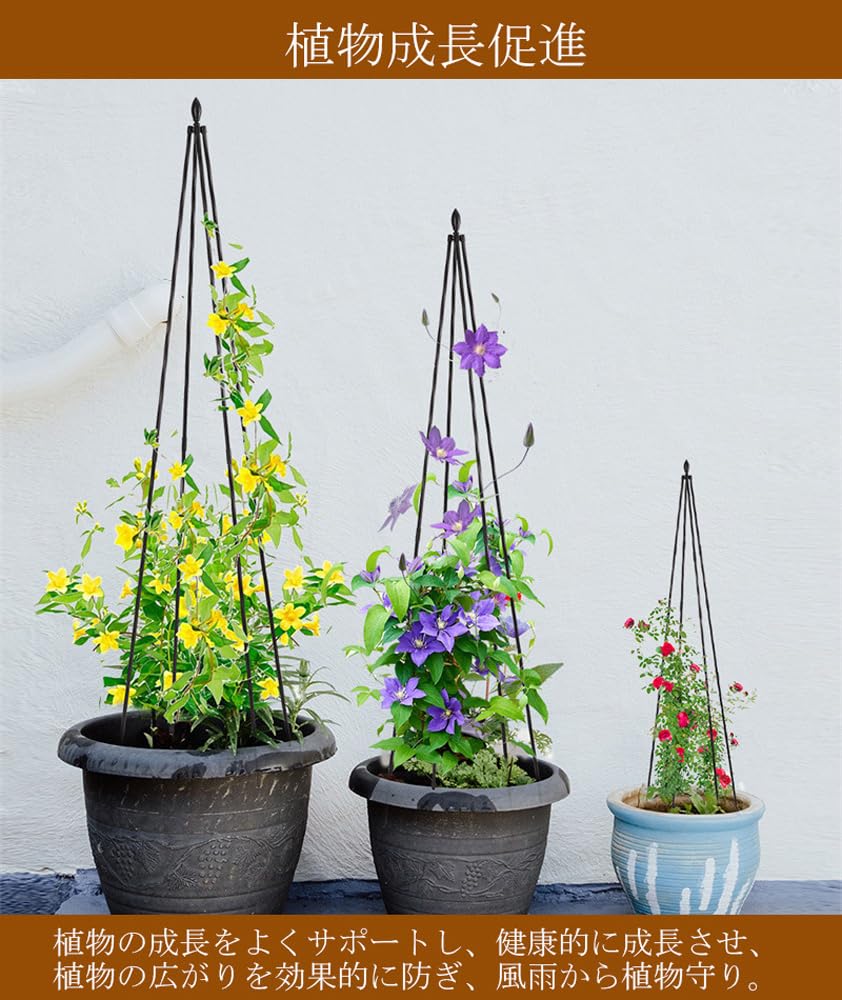 Amazon | 植物支柱 園芸支柱 ガーデニング用支柱 バラ用 つる花 園芸