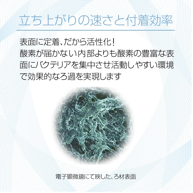 Amazon.co.jp: ゼンスイ バクテリアホールド Mサイズ 3L 吸着型