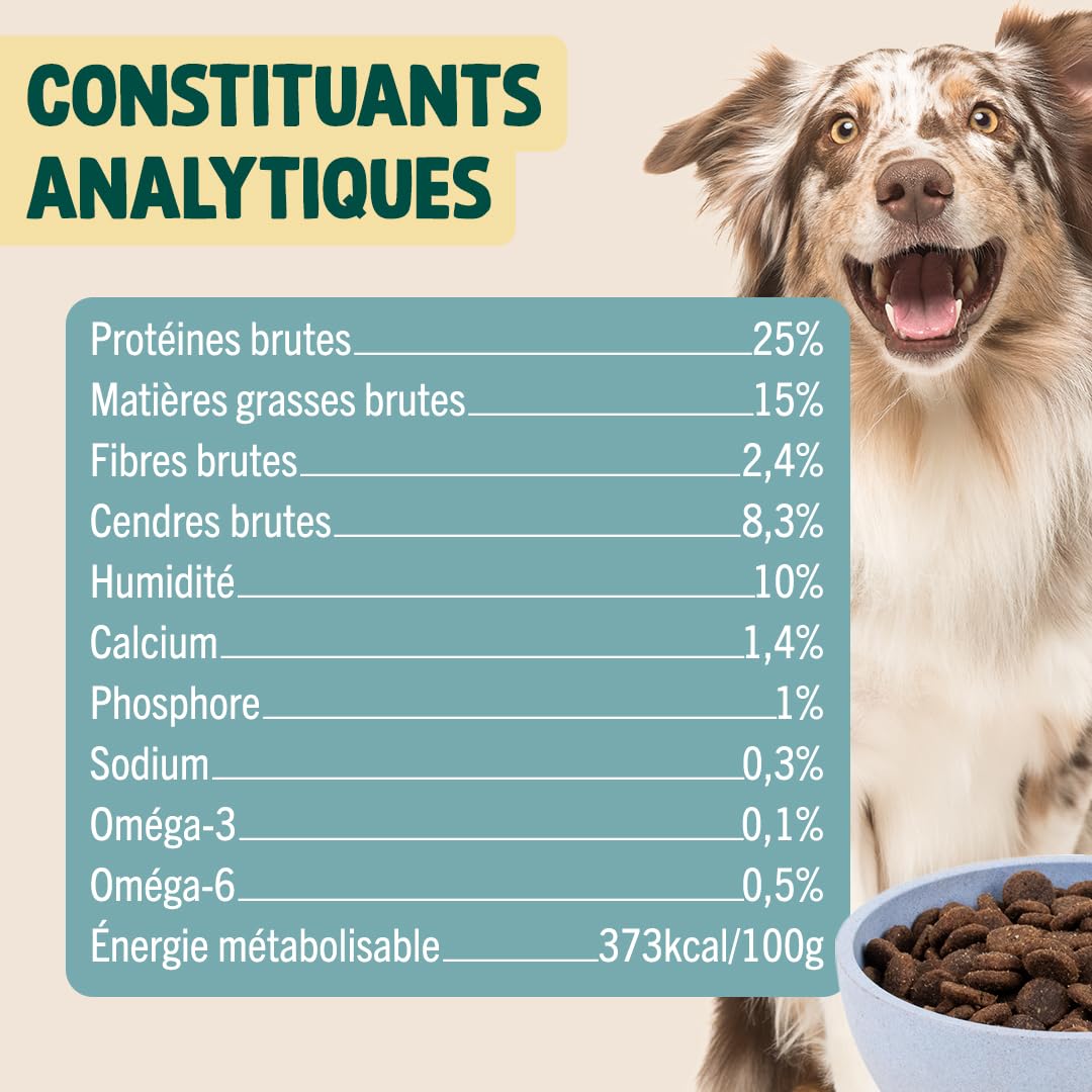 Franklin – Croquettes pour Chien Sensible – Gamme Protéinée – avec 52% d'agneau – sans céréales – Mono-protéine – Taille 13 mm – 6 kg