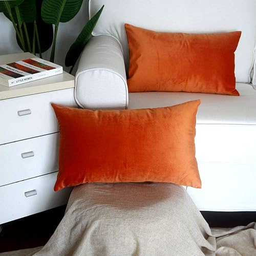 Miniatura 4 de Artcest - Juego de 2 fundas de terciopelo para cojines decorativos, fundas para cojines decorativos sólidos para sofá y cama