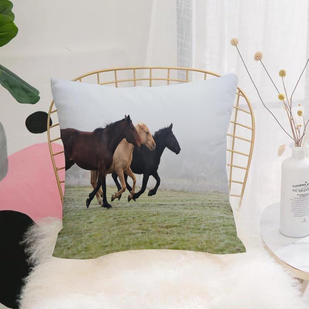 HYOSXW Cushion Cover,Throw Pillow Case Home Decorative for Living Room Bedroom Sofa Chair 16X16 Inch,Horses, few Racehorses on the grass in the foggy Force Day,Pillowcase 40X40cm