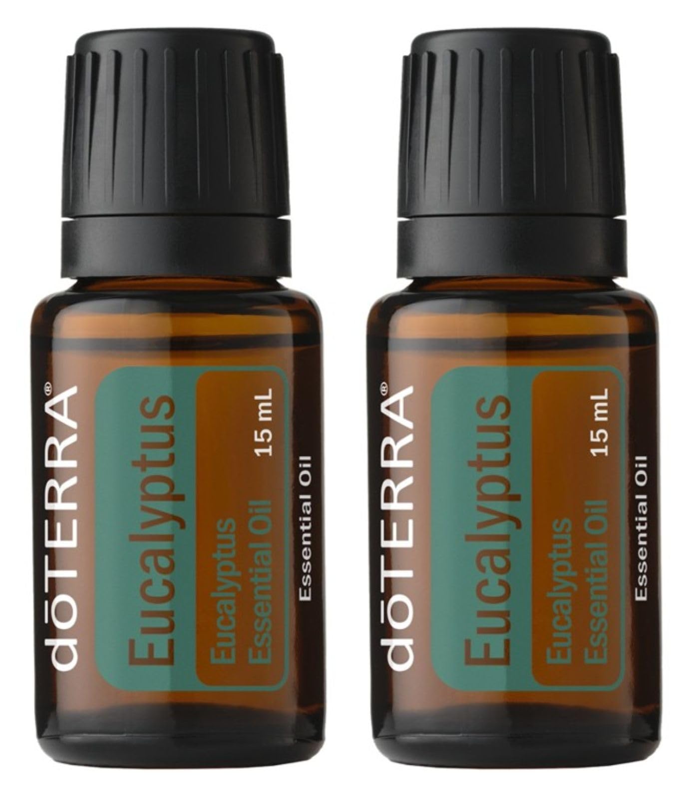 Amazon.com: doTERRA Eucalyptus Radiata Essential Oil - 15 mL (2
