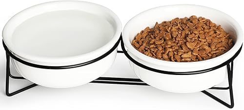 GDCZ Ceramics - Cuencos elevados para perros pequeños con soporte de metal para alimentos y platos de agua para mascotas, 15 onzas (blanco)
