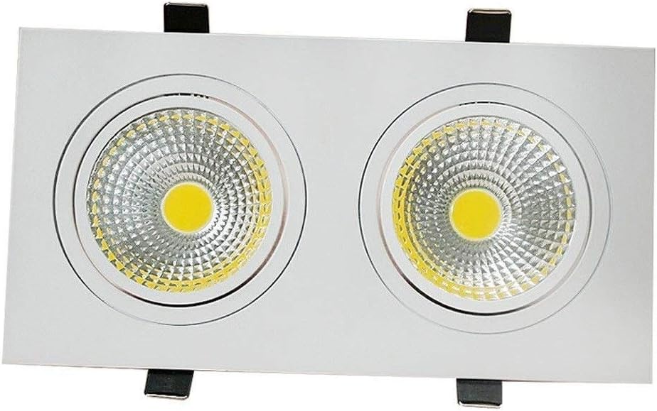 COB LED Recessed Downlight Square Double-Headed Ceiling Light for Clothing Hotel Aisle Decorative Lighting Adjustable Angle High Brightness LED Recessed Spotlight High Brightness (Color : 3000K
