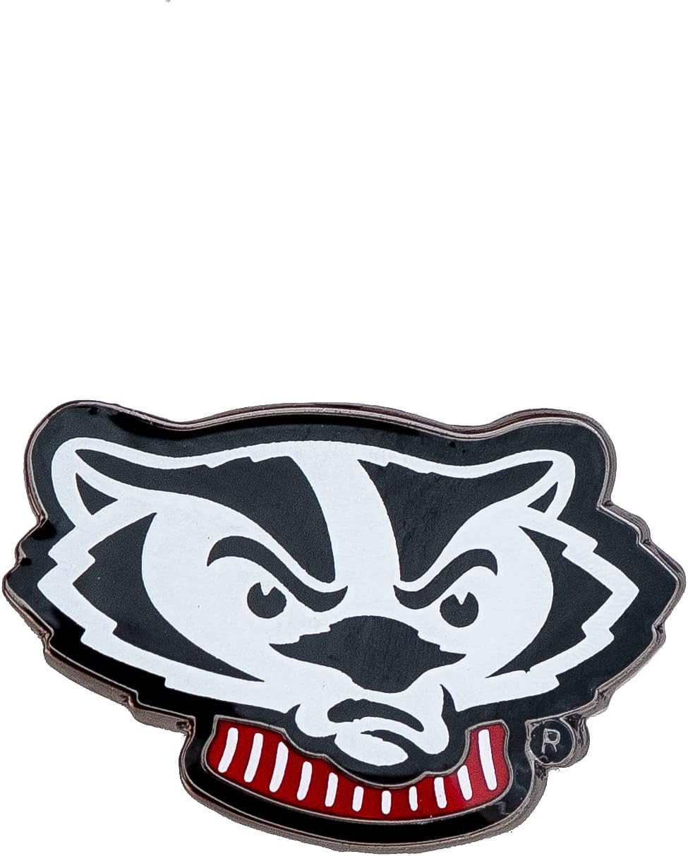 Desert Cactus University of Wisconsin Lapel Pin WISC Badgers Made of Metal for Formal Wear, Bag and Hat Jewelry, and Tie Tack
