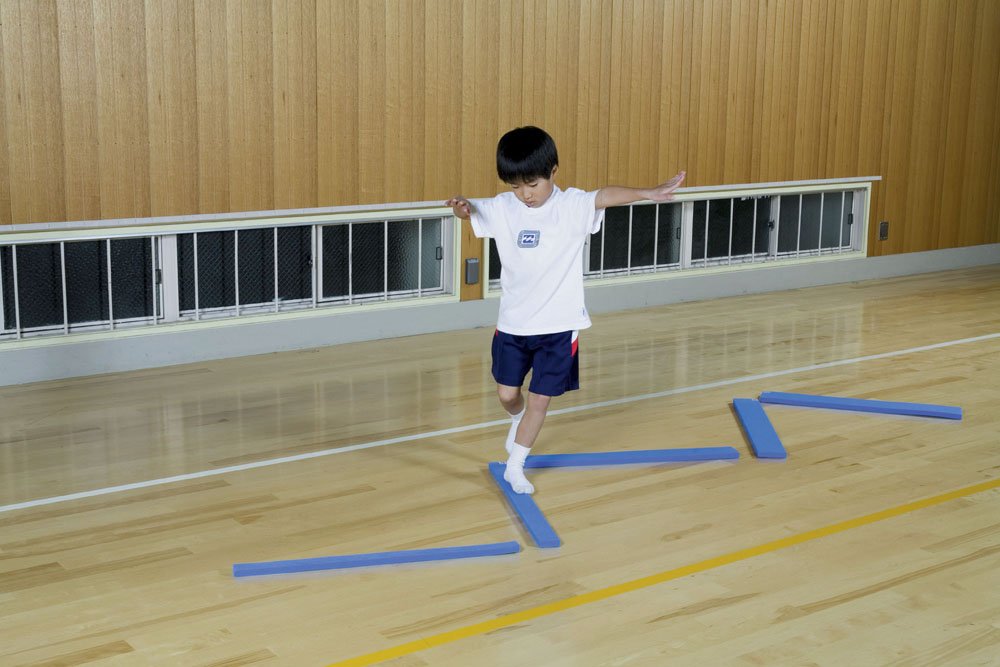 Amazon | ダンノ(DANNO) ソフトバランスバー 5本1組 D3634 | DANNO