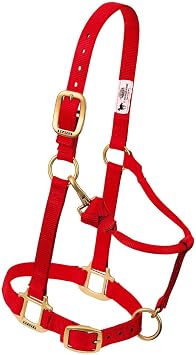 Weaver Leather Original Adjustable Nylon Horse Halter, Red, Arabian/Cob
