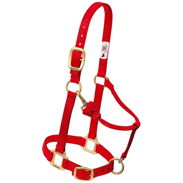 Foto 7 de 8 de Weaver Leather Original Ajustable Nylon Caballo Halter, púrpura, árabe/COB