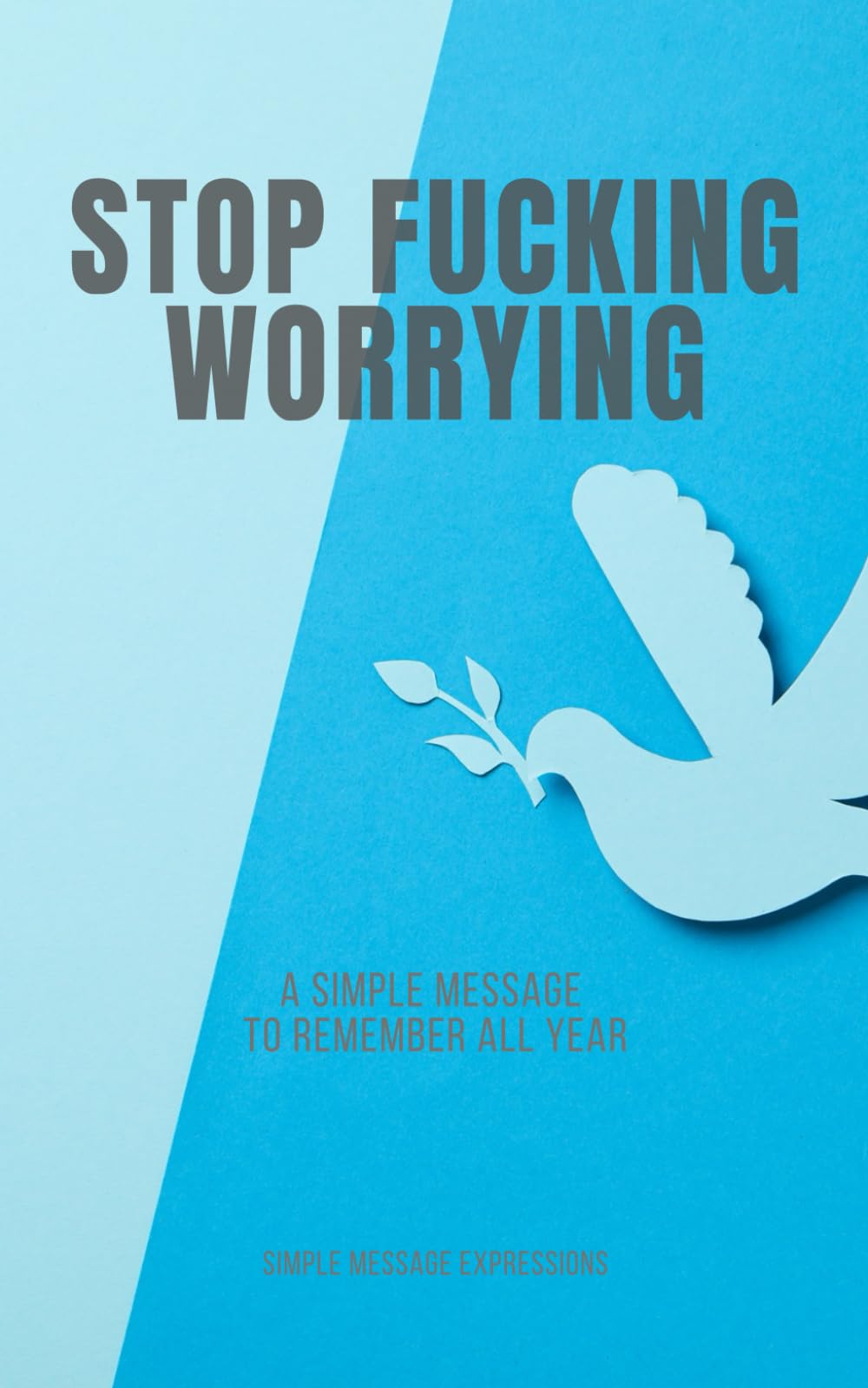 STOP FUCKING WORRYING: A SIMPLE MESSAGE TO REMEMBER ALL YEAR