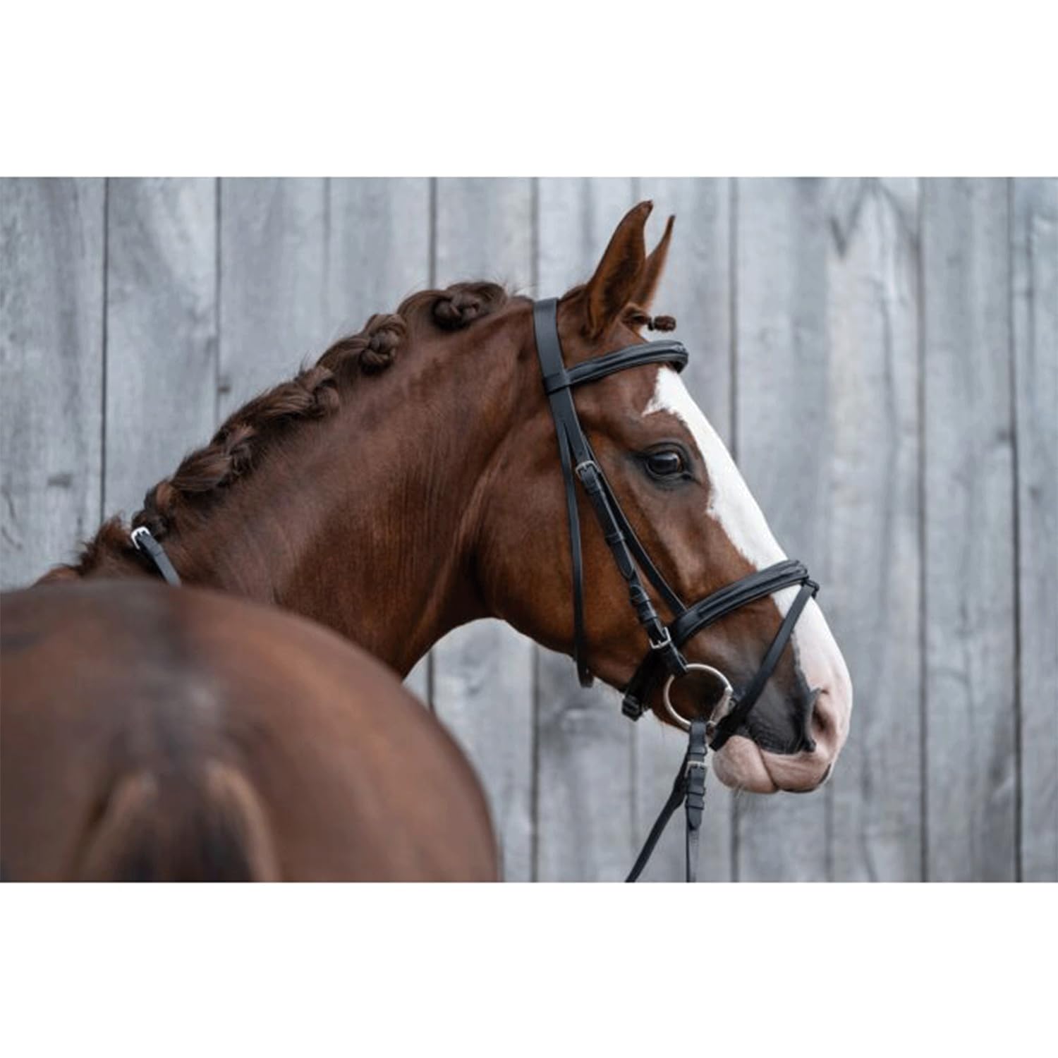 HKM Jana - Casco da Equitazione