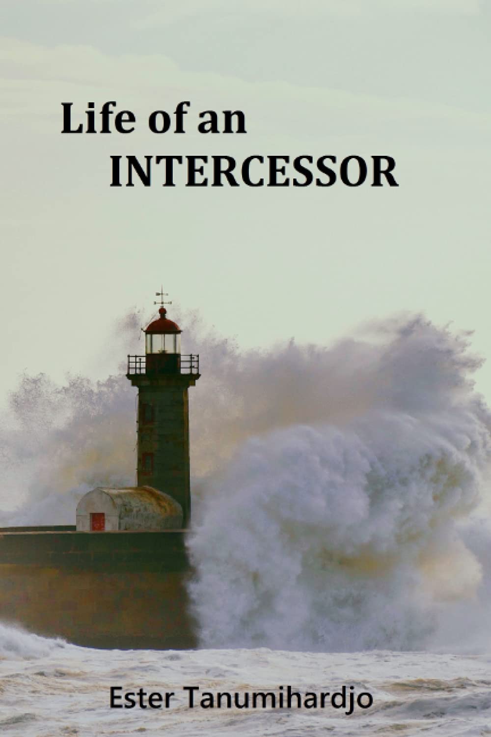 Life of an Intercessor: 1 (Lighthouse Fellowship)