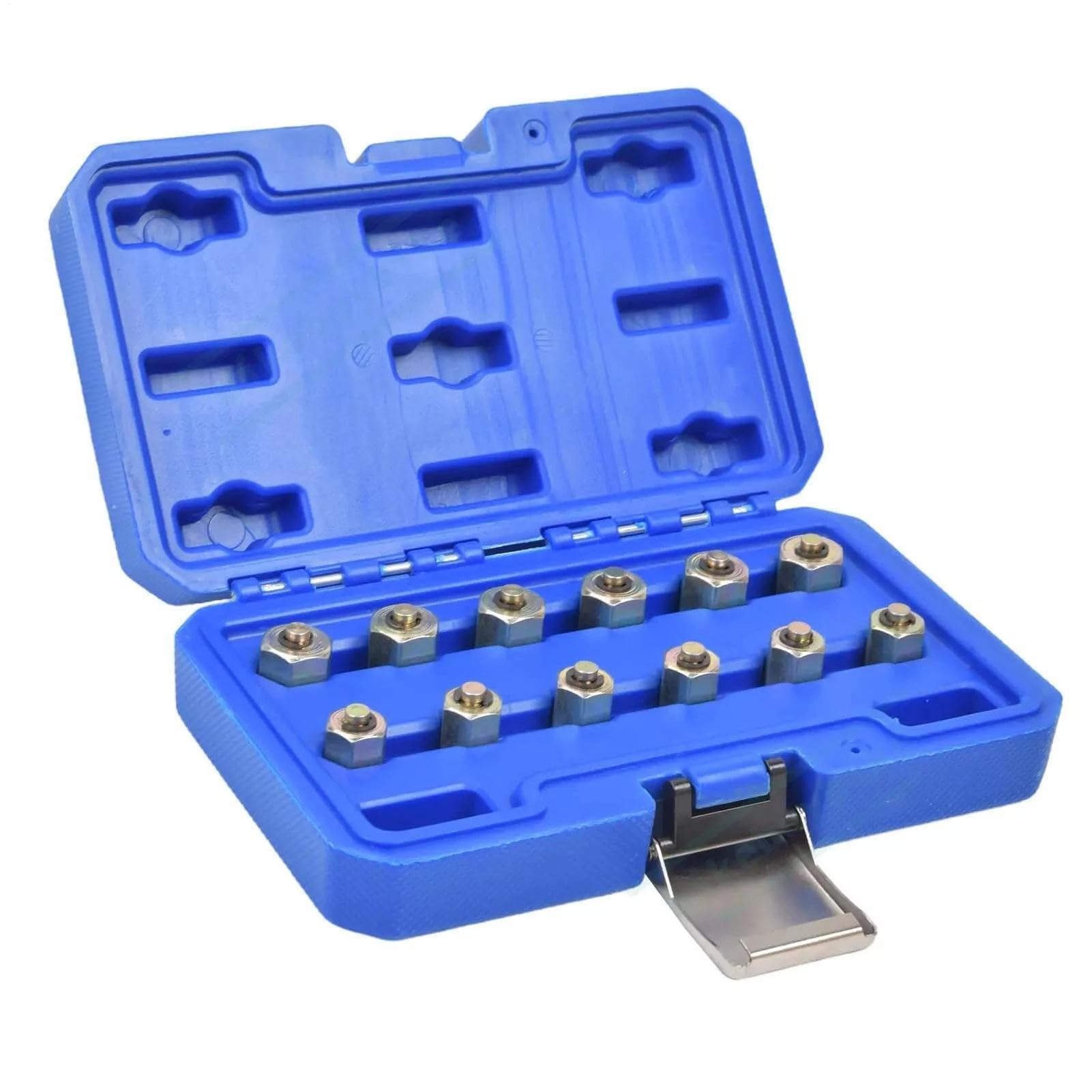 Tapón Del Raíl Del 12 Piezas Tester Portátil Universal De Acero Al Carbono | Herramienta De Presión Para Motores SUV Autocaravanas Pickups Sedanes Coches Camiones Talleres