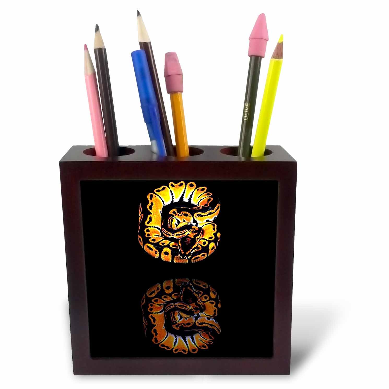 Porte-stylo carrelage 3dRose Ball Python pot de rangement bureau 12cm