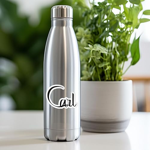 Miniatura 49 de Tyler - Calcomanía de vinilo impermeable con nombre para parachoques de automóvil, laptop, botella de agua, pared, ventana, tamaño - 5 pulgadas más