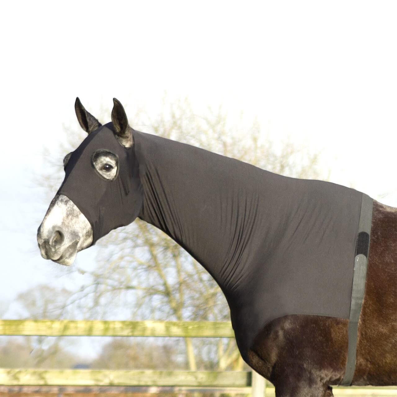 QHP Manta para Caballos de Elastano