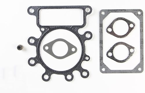 Briggs & Stratton 495992 Juego de juntas de válvula