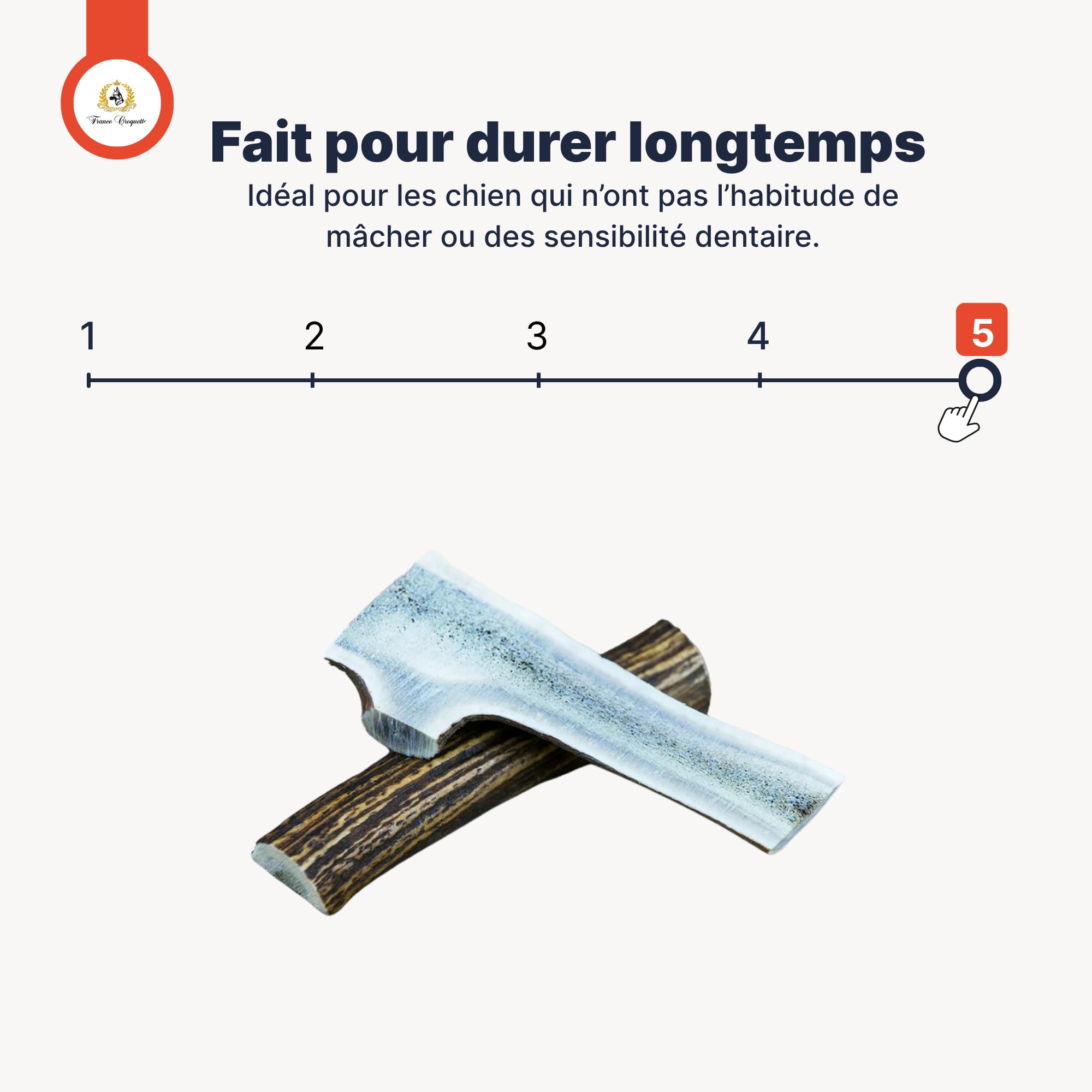 Bois de Cerf Fendu pour Chien, friandise à mâcher Naturelle Longue durée, Soin Dentaire mécanique, Occupation & Plaisir, 100% Bois de cerf (XL)