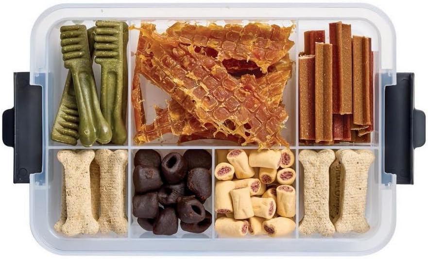 Sabatier Snacklebox 2-piece Set with Cutting Board Lids