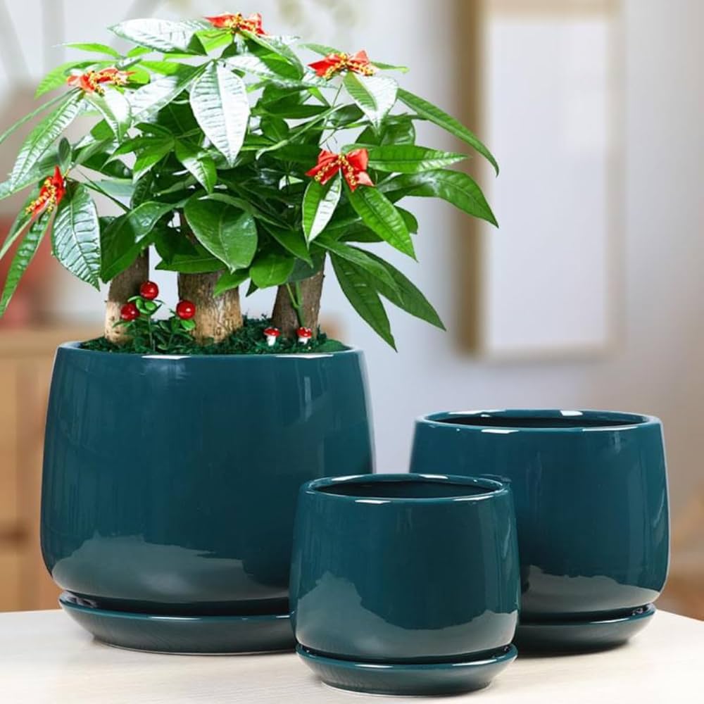 大型　陶器　観葉植物植木鉢　キャスター付 大型 陶器 観葉植物植木鉢 キャスター付 大型 陶器 観葉植物