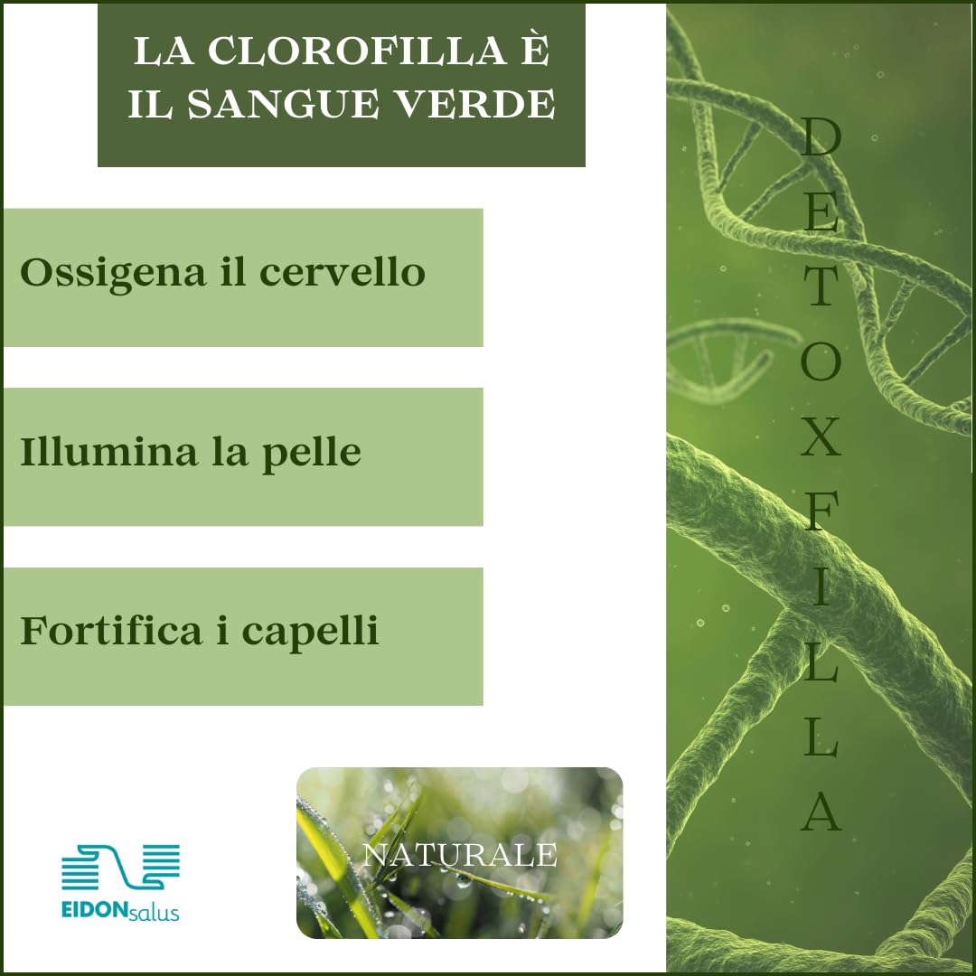 Integratore Detox con Clorofilla e Estratti Vegetali – Green Food Naturale – Supporto al Benessere dell’Organismo – Formula Antiossidante – 60 Compresse