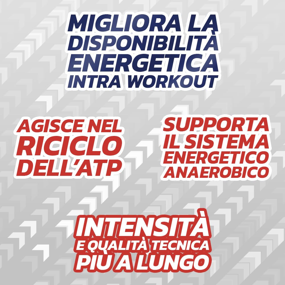 PROLABS – Creatina Monoidrata Creatine PURE Polvere 100% Pura Finissima, Creatina Monoidrato Supporta Forza e Performance Sport Alta Intensità - Integratore 100% Vegan anche Pre Workout, Neutro, 500g