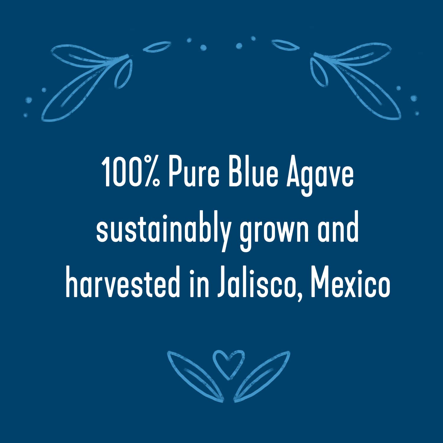 Wholesome Fair Trade Organic Blue Agave Nectar, Natural Low Glycemic Sweetener, Non GMO & Gluten Free, 5 gl (Pack of 1), (Packaging May Vary)
