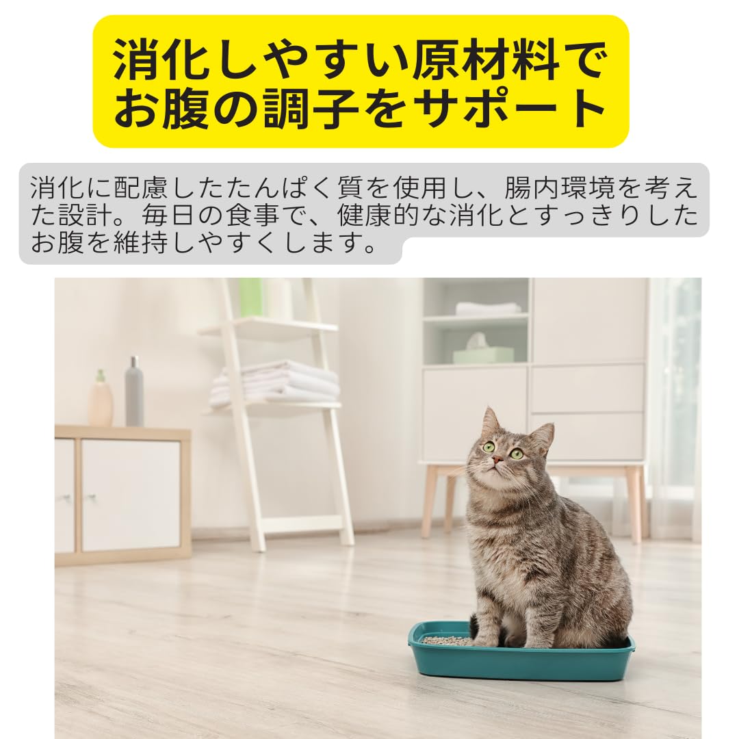 Amazon | 室内で生活する猫 インドア 2Kg 室内猫用 キャットフード 成