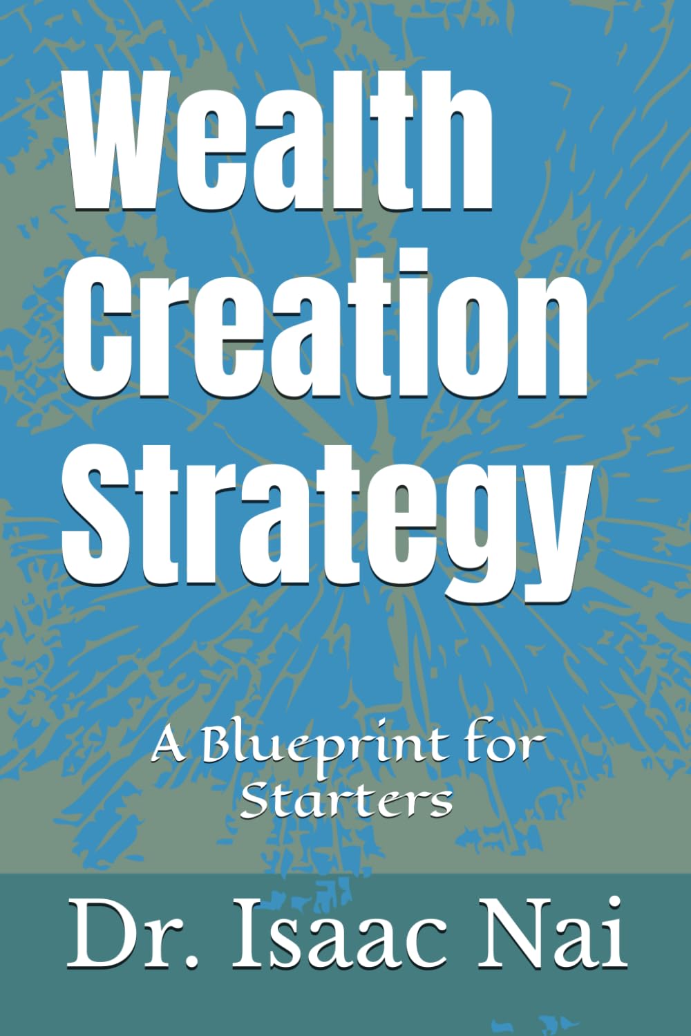 Wealth Creation Strategy: A Blueprint for Starters: 2