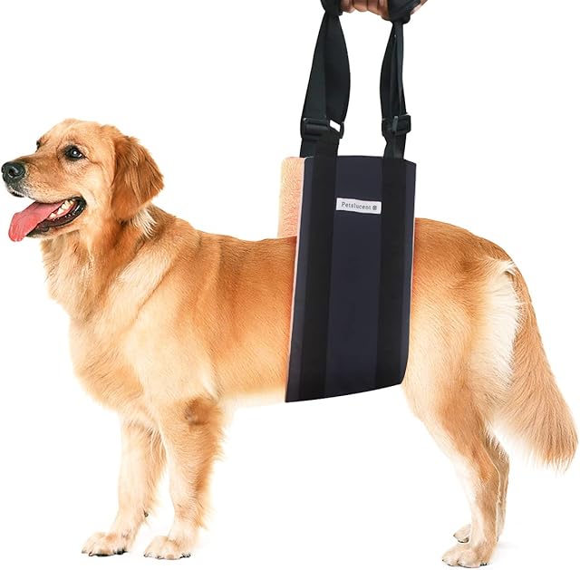 Dog Lift Harness for Back Legs, Petslucent Dog Sling for Large Dogs Hind Rear Leg Support Stair Lifting, for Old K9 ACL Canine Aid, Injured, Disabled Small Medium & Large Breeds (Black Pink)
