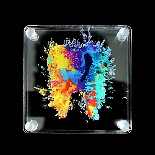 Juego de 6 posavasos de anatomía de dientes 3D de 4 pulgadas, modelo de dientes, cuadrados acrílicos, juego de posavasos para mesa dental, tapete